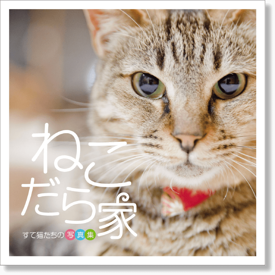 ねこだら家　ーすて猫たちの写真集ー