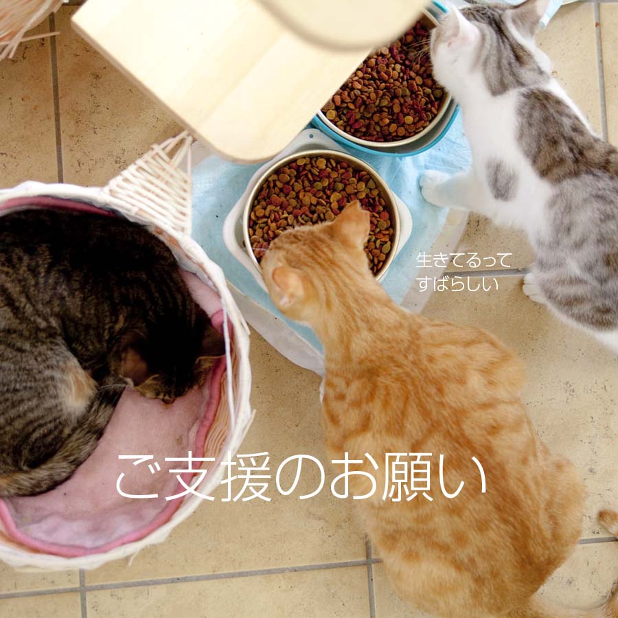 ご支援のお願い