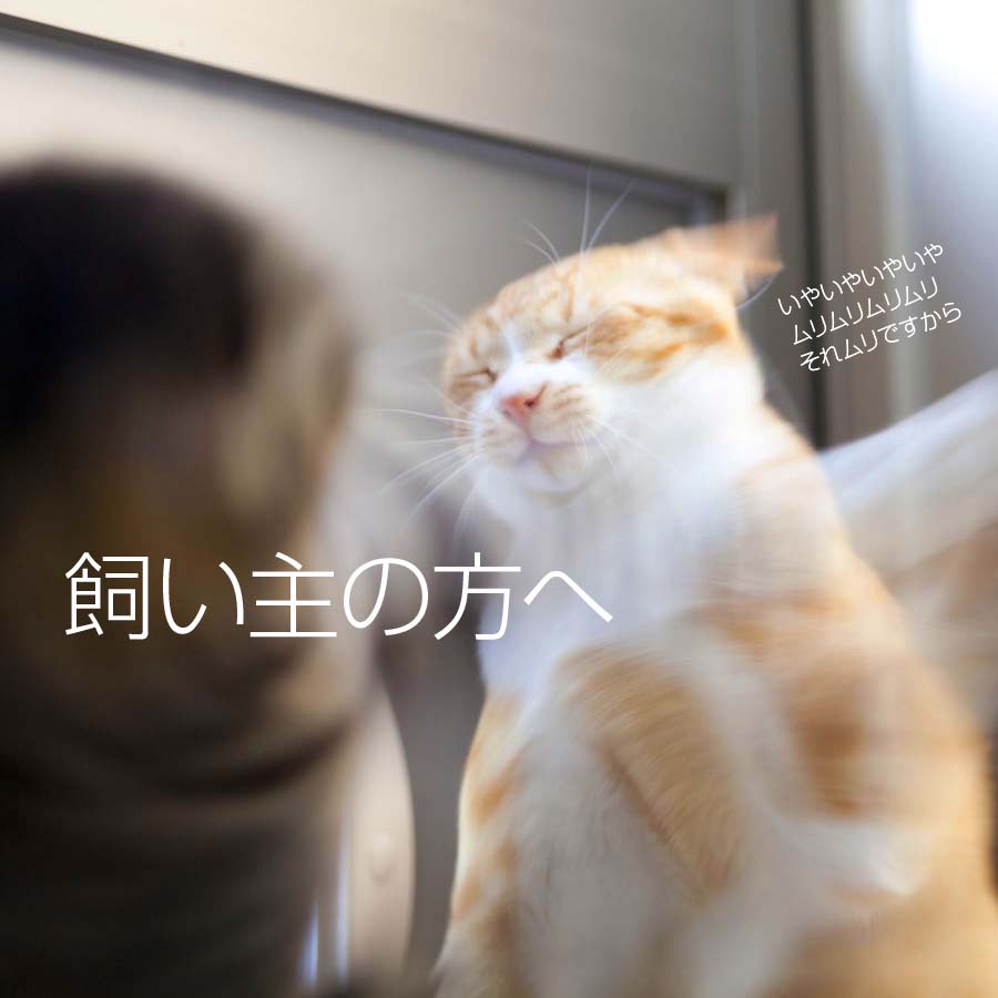 飼い主の方へ