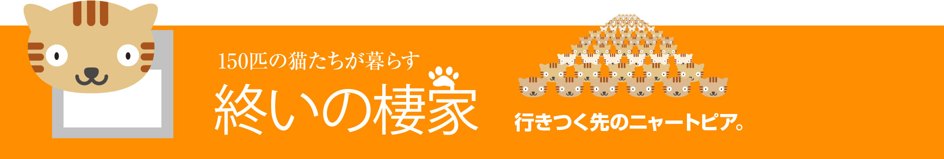 130匹の猫たちが暮らす　終いの棲家