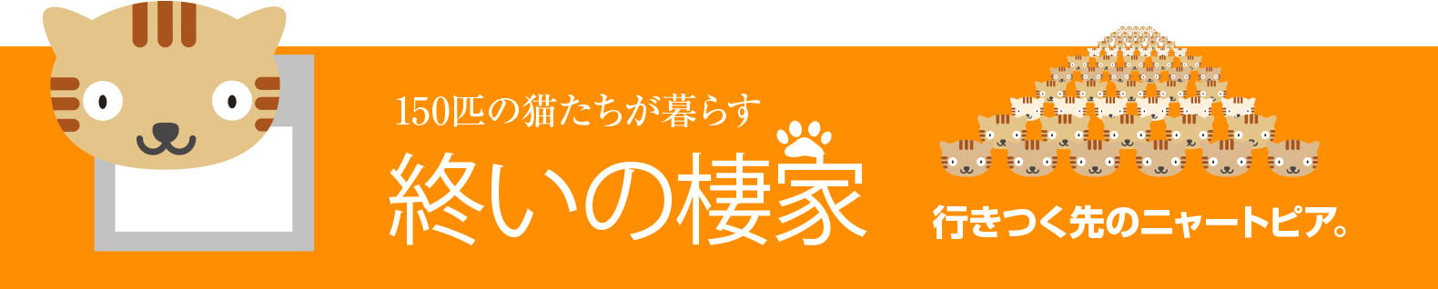 130匹の猫たちが暮らす　終いの棲家