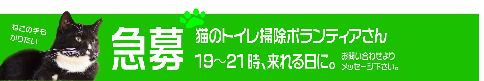 ボランティア募集