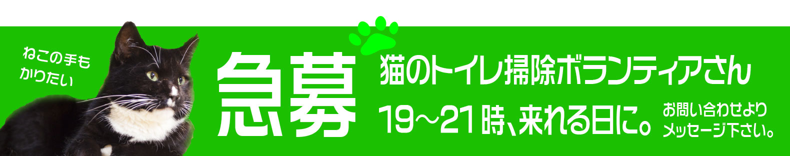 ボランティア募集