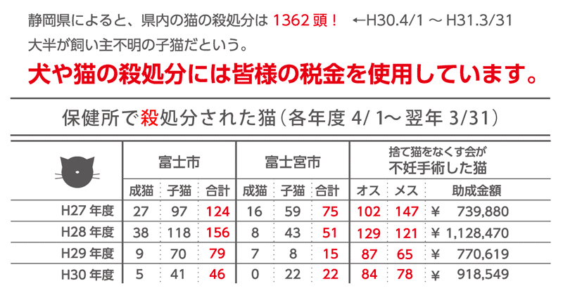 保健所で殺処分された猫